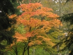 IMG_5166.JPG