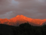 IMG_4076.JPG