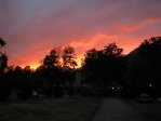 IMG_4080.JPG
