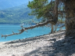IMG_4097.JPG