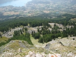 IMG_4186.JPG