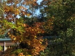 IMG_4754.JPG