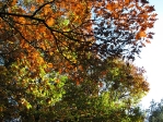 IMG_4772.JPG