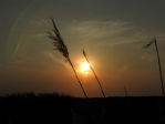 IMG_6574.JPG