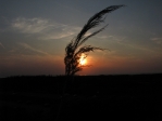 IMG_6584.JPG