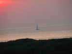 IMG_6609.JPG