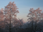 Winter in Vlaardingen